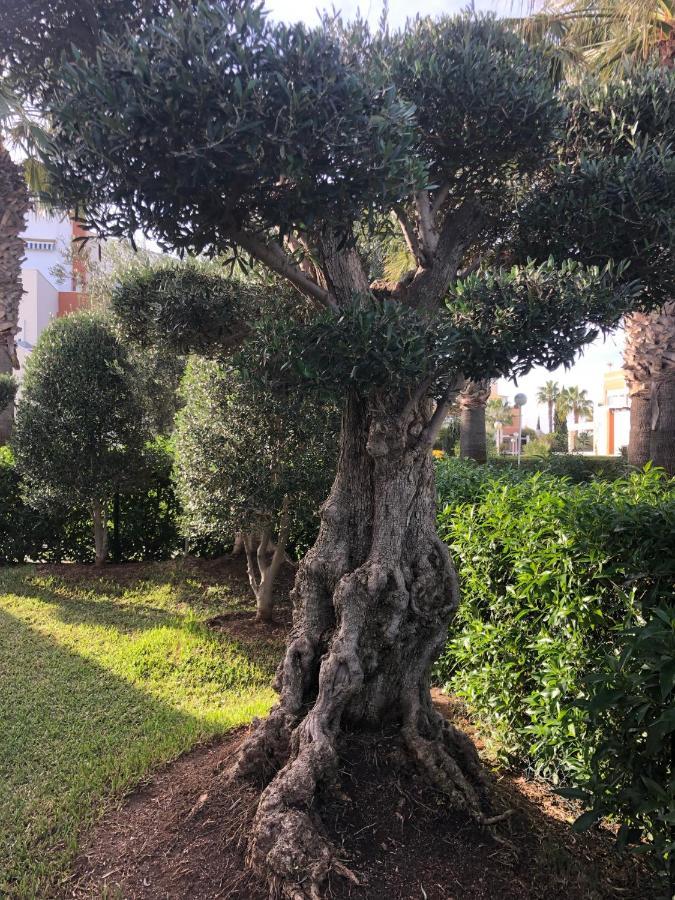 Vera Natura Apartamento Los Olivos Lejlighed Eksteriør billede